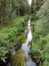 Точно! Теперь разобрался, благодарю.