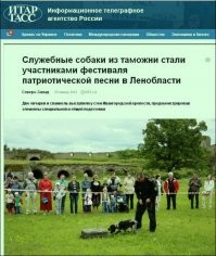 Так и живем. Убойные заголовки новостей, которые так точно нас характеризуют