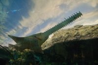 Удивительные факты, которые поразят вас до глубины души!