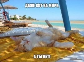 Я живу у моря...
