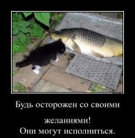 Смешные картинки