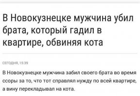 Так и живем. Убойные заголовки новостей, которые так точно нас характеризуют