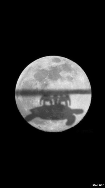 Ложь! Вот фото тени при лунном затмении