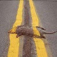 Парад раздолбайства и пофигизма
