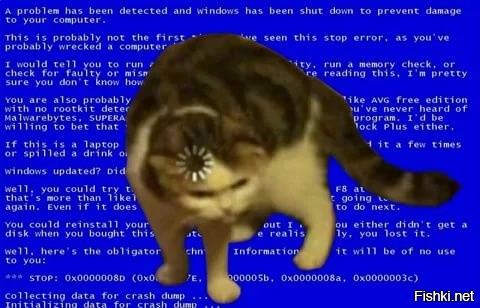 Солянка от 07.07.2020