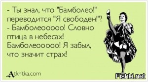 Солянка от 07.07.2020