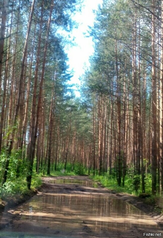 Мы тоже наконец-то открыли купальный сезон катер не наш