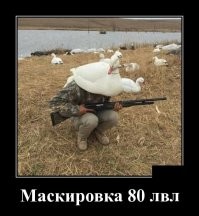 История развития камуфляжа