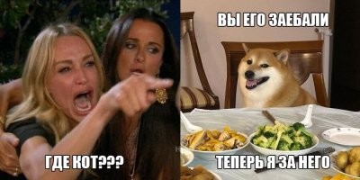 Эмоциональный сиба-ину стал звездой мемов про разницу поколений