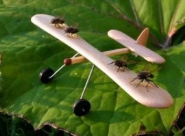 Самый бюджетный беспилотник