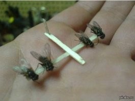 Самый бюджетный беспилотник