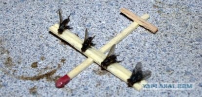 Самый бюджетный беспилотник