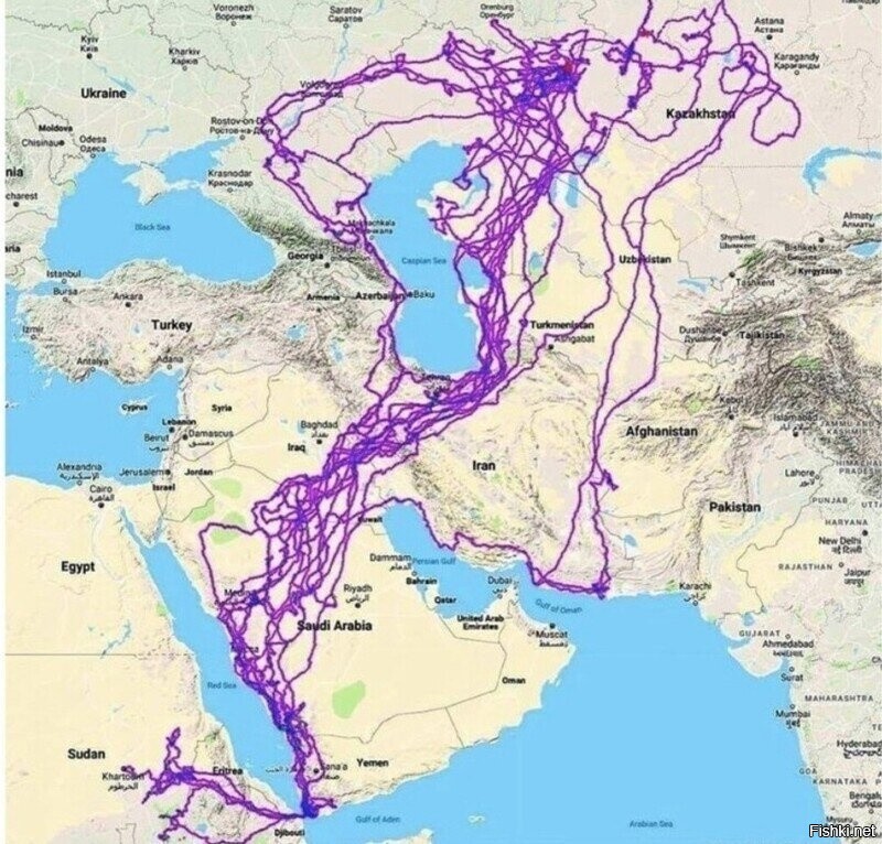 один раз даже в Оренбург зачем-то смотался