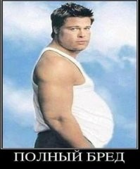 Если бы кошки снялись в фильмах известных режиссеров