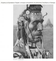 Да что вы говорите! Полно вот таких в Альберте, Канада.  Без перьев по будним дням, правда