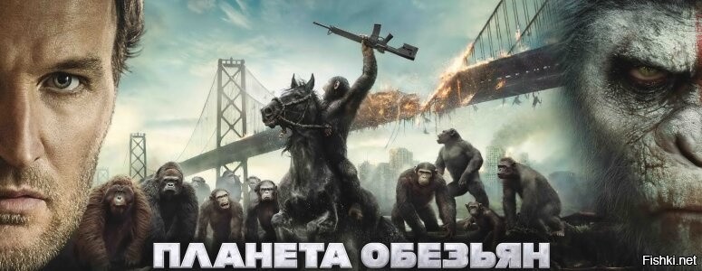 ну хоть америкосы своей внутренней политикой займутся...