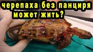 Смешные картинки