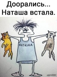 Смешные картинки