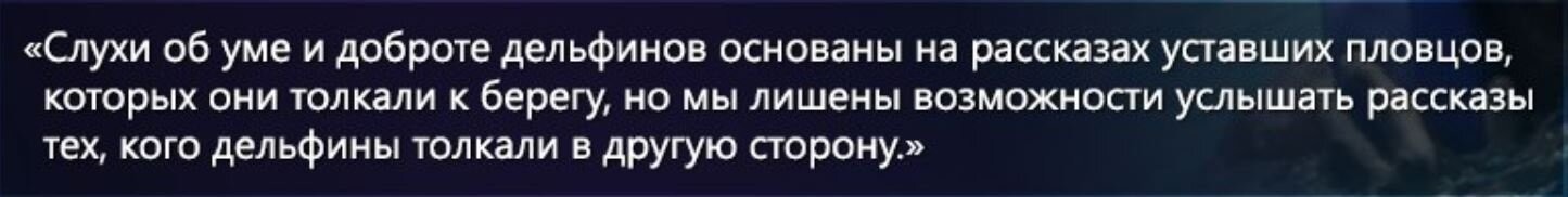 Почему дельфины спешат на помощь тонущим?