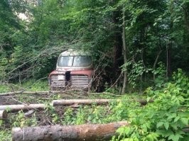 За этот обидно... красивая машина.