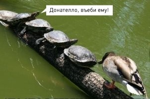 Донателло, <span style='color:gray'>[мат]</span> ему!