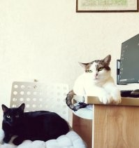 Наши все подобрыши тоже выросли в красавцев, стали наглыми любимыми оккупантами :)