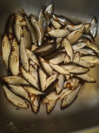 "Травоядных" я на тесто ловлю.
Во-первых, они на него хорошо клюют.
Во-вторых, я ленивый, не надо никого копать/искать.
Мука, вода, подсолнечное масло с запахом. В том году добавлял немного магазинной прикормки для карповых.
Но это в отпуске.
А у нас на севере живут только хищники, здесь опарыши.