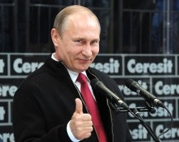 Котики и собаки до и после того, как их забрали из приюта
