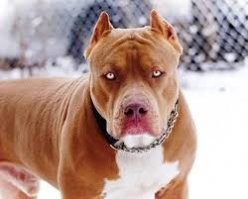 Могу с этим помочь...