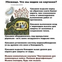 "Илюхин дом поехал!": в Подмосковье прорвало дамбу и смыло постройки