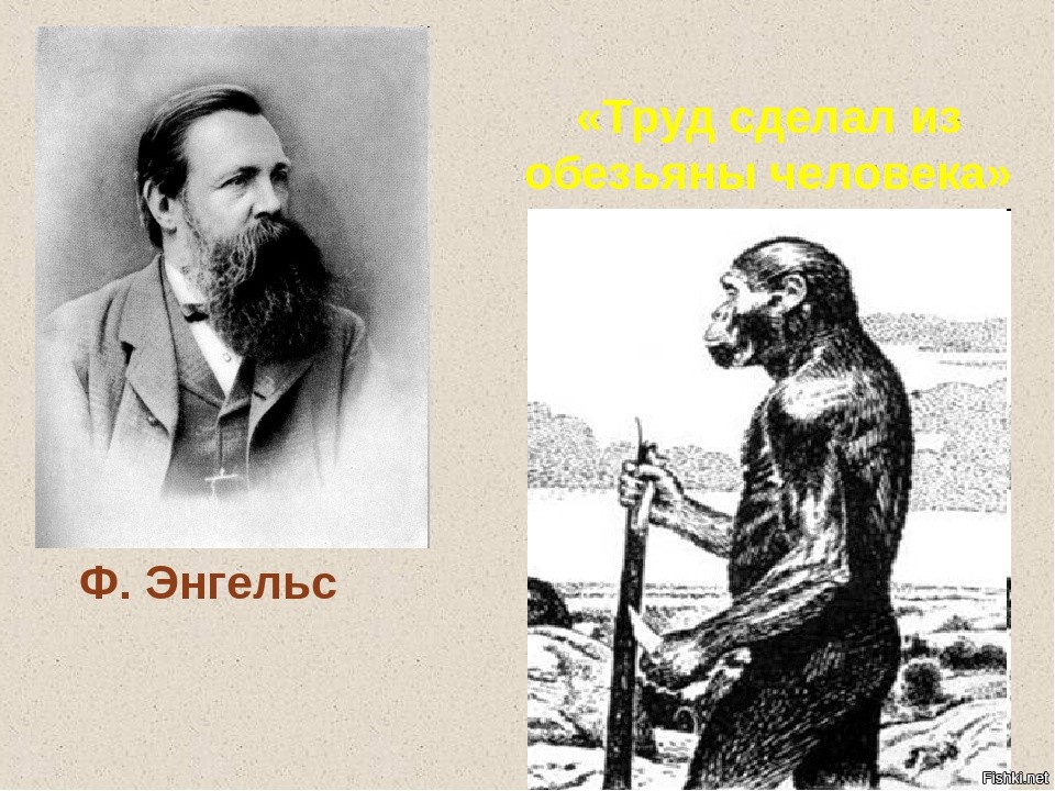 Труд создал самого человека. Труд создал из обезьяны человека. Труд сделал обезьяну человеком. Труд создал человека Энгельс. Труд создал из обезьяны человека кто сказал.