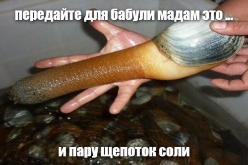 Политические комментарии из инета
