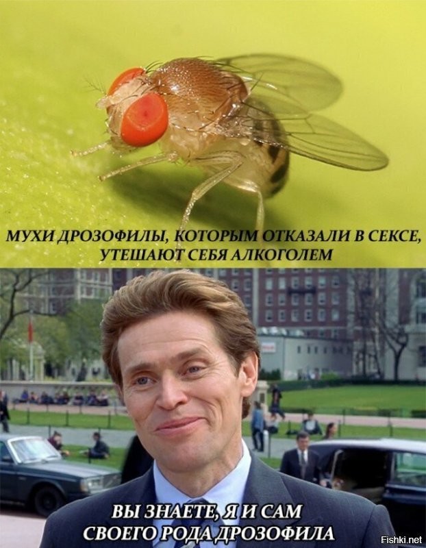 Солянка от 09.07.2020