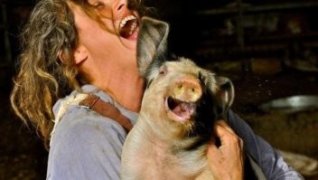 Раскладной диван оказался очень прожорливым