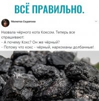Новый интересный законопроект, связанный с наркотиками, рассматривают в Госдуме РФ