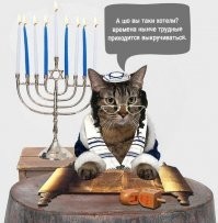 Ага, кот-еврей.