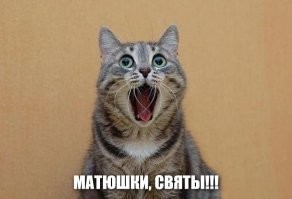 подкину котика для проформы...