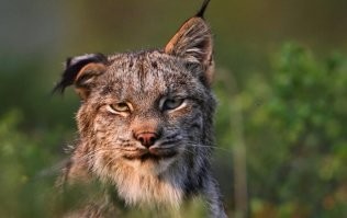 Похмелье... Оно такое