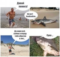 Сахалинский рыбак вместо горбуши выудил из реки 100-килограммовую акулу