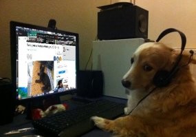 Завтра у меня появится новый друг. Часть 2