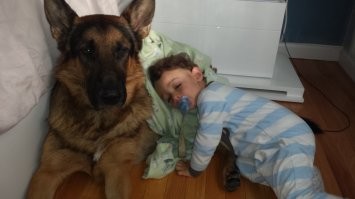 15 добряков, которые растопят даже самое чёрствое сердце