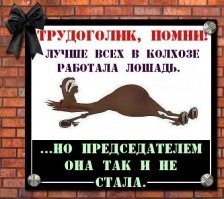 16 людей, которые знают, как превратить скучные офисные будни в веселье
