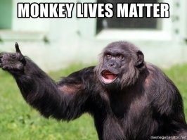 "Жизни обезьян имеют значение": в Британии отказались от кокосов, собранных макаками