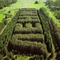 Один из самых массивных геоглифов, созданных в Советском Союзе