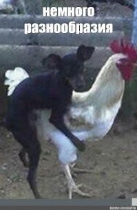 Хороших сокамерников товарищу!