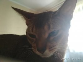 моя! любовь в каждом кадре!)))