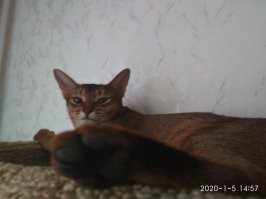 моя! любовь в каждом кадре!)))