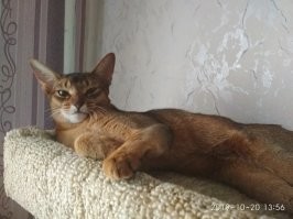моя! любовь в каждом кадре!)))