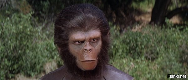 Смешные картинки