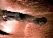 За секунду до